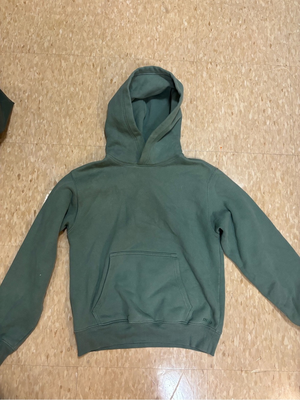 Aritzia TNA Green Hooded Sweatshirt